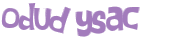Wyzwanie captcha