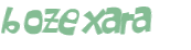 Captcha 챌린지
