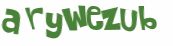 Wyzwanie captcha