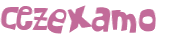 Captcha 챌린지