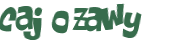 CAPTCHA-haaste