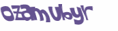 Captcha 챌린지