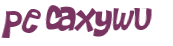 CAPTCHA 挑戰