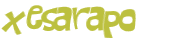 Desafio captcha