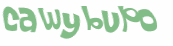 Captcha 챌린지