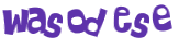 Desafio Captcha