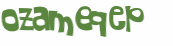 Wyzwanie captcha