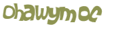 CAPTCHA 挑戰
