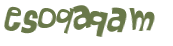 Captcha 챌린지