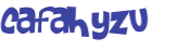 Wyzwanie captcha