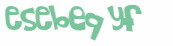 Captcha-Test