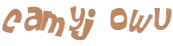 Desafio Captcha
