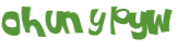 Desafio Captcha