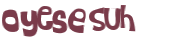 CAPTCHA 挑戰