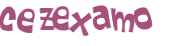 Captcha 챌린지