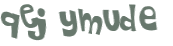 CAPTCHA 挑戰