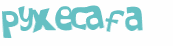 Captcha 챌린지