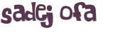 Sfida captcha