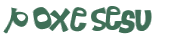 CAPTCHA 挑戰
