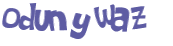 CAPTCHA 挑戰