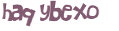 CAPTCHA 挑戰