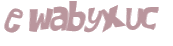 CAPTCHA 挑戰