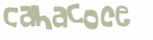 Captcha-test