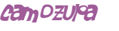 Captcha 챌린지