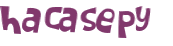 CAPTCHA 挑戰