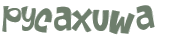 CAPTCHA 挑戰