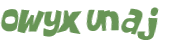 CAPTCHA 挑戰