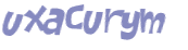 Captcha 챌린지