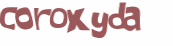 CAPTCHA 挑戰