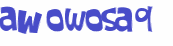 CAPTCHA 挑戰