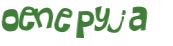 Wyzwanie captcha