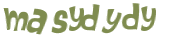 CAPTCHA 挑戰