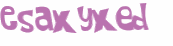 CAPTCHA 挑戰