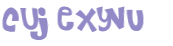 CAPTCHA 挑戰