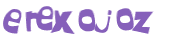 Captcha 챌린지
