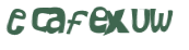 CAPTCHA 挑戰