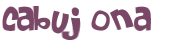 Captcha 챌린지