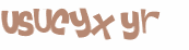 CAPTCHA 挑戰