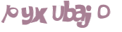 Desafio Captcha