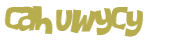 Captcha-Test