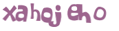 CAPTCHA 挑戰