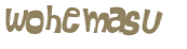 Desafio Captcha