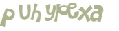 CAPTCHA 挑戰