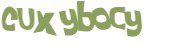 CAPTCHA 挑戰