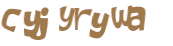 Captcha 챌린지