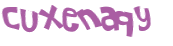 CAPTCHA 挑戰